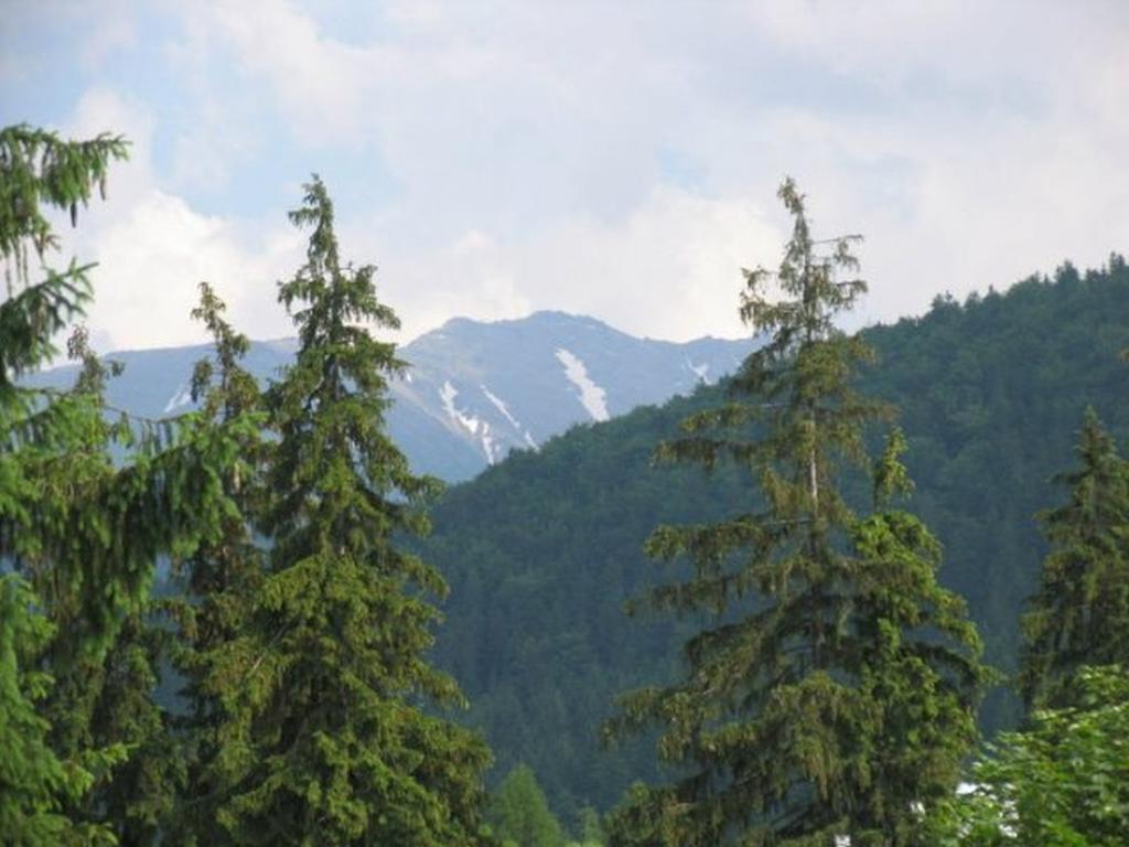 Willa Lesna Zakopane Exterior foto